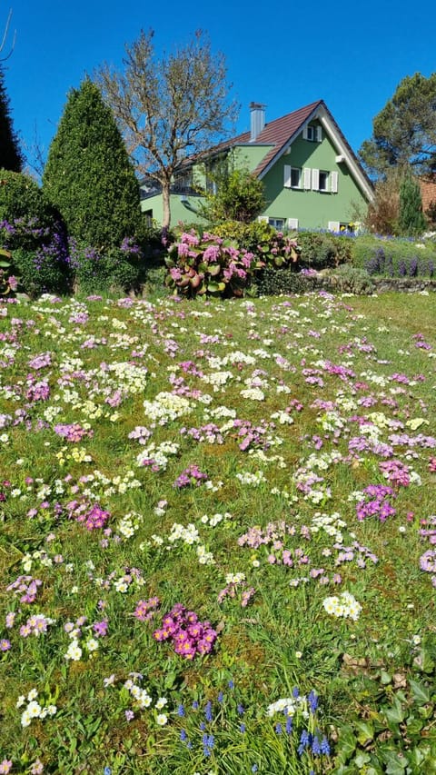 Spring, Natural landscape, Garden, Garden view