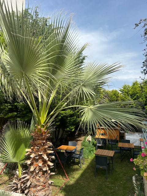 Villa Maizon Apartment in Ksamil