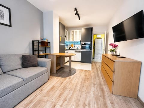 TV and multimedia, Kitchen or kitchenette, Living room, Seating area, Dining area, minibar, oven, pet friendly, stove