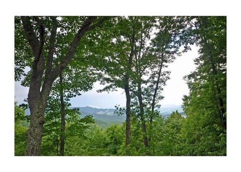 Dream Circle House in Swain County