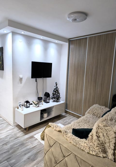 Aries Art Apartment in Serbia