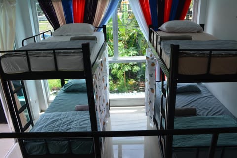 Bed, Photo of the whole room, Bedroom, bunk bed