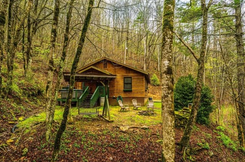 Dragonfly Cabin Cabin in Bryson City