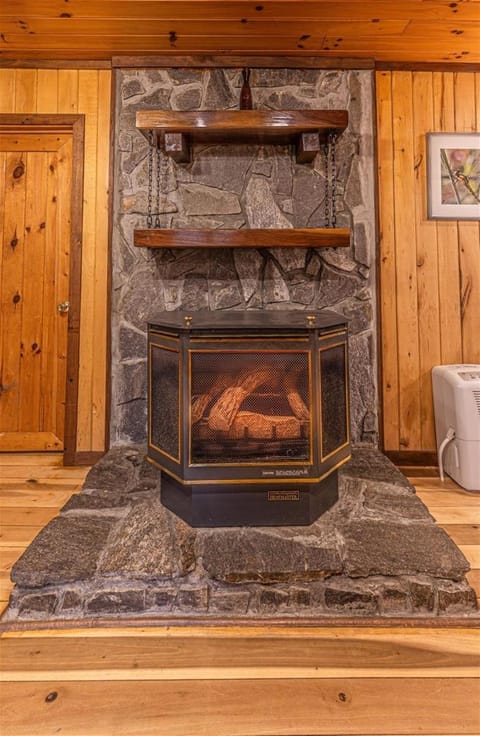 Dragonfly Cabin Cabin in Bryson City