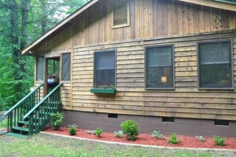 Dragonfly Cabin Cabin in Bryson City