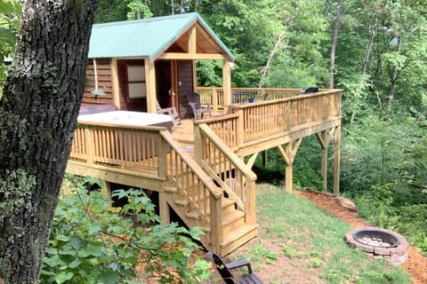 Little Goldies House in Swain County