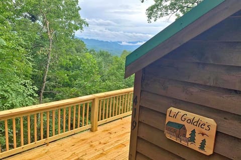 Little Goldies House in Swain County