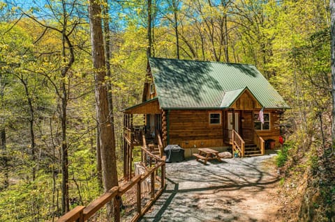 Hummingbird Hollow House in Swain County