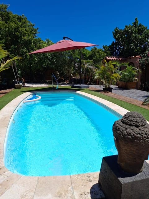 Garden, Garden view, Swimming pool, sunbed