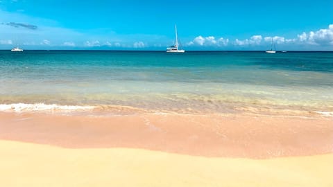 Nearby landmark, Natural landscape, Beach, Sea view