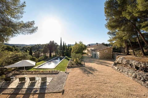 Patio, Garden, Garden view