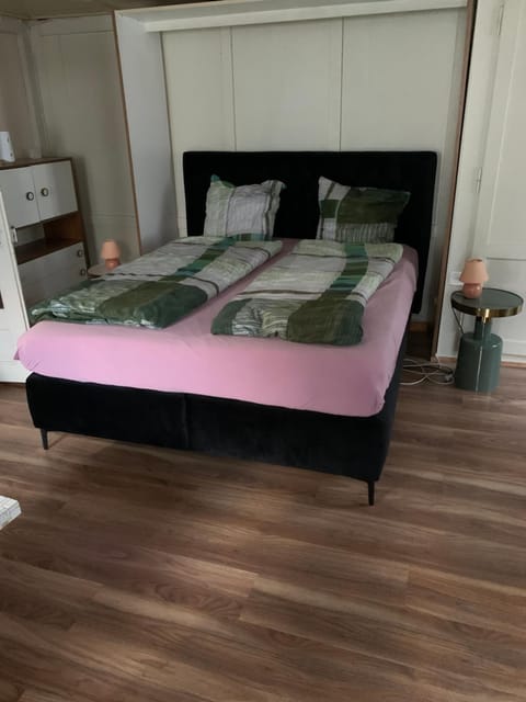 Vista a los Alpes Apartment in St. Gallen, Switzerland