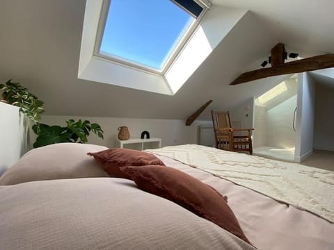 Duplex cinéma - centre historique Tours Apartment in Tours