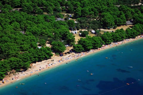 Beach, Area and facilities