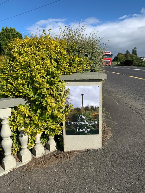 Carrigadaggen Lodge 2 king bed Apartment - Spacious & Comfy! Apartment in Ireland