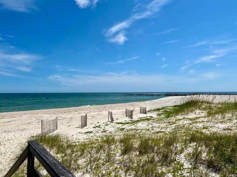 Amelia-Beachfront-Private Pool-Pet Friendly-Game Room House in Saint George Island