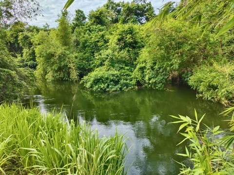 River view