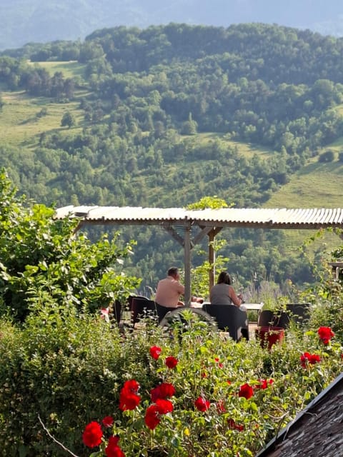 Kopernik & Freyia Apartment in Provence-Alpes-Côte d'Azur