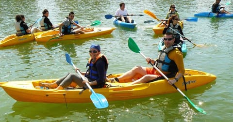 People, Activities, group of guests