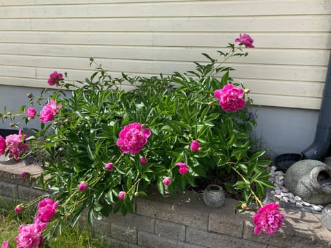 Cozy Holiday Home with Outside Jacuzzi & Sauna Apartment in Uusimaa