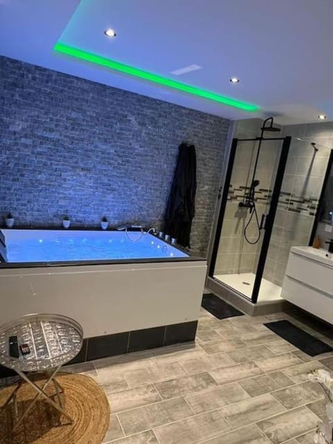 Magnifique villa avec jacuzzi Villa in Givors