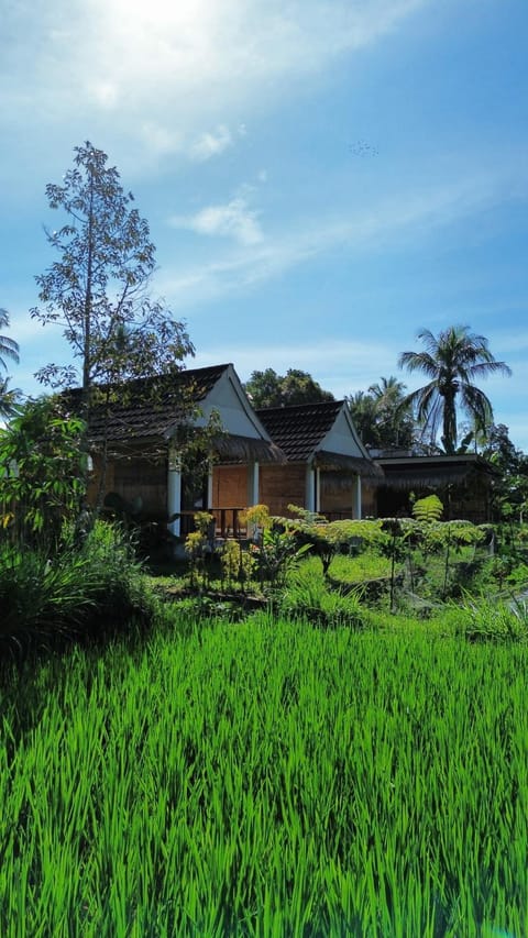 Property building, Day, Natural landscape, Garden view