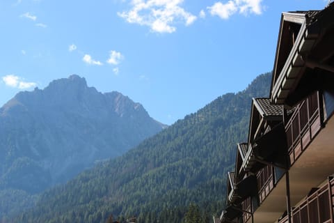 Cèsa Civetta Apartment in Canazei