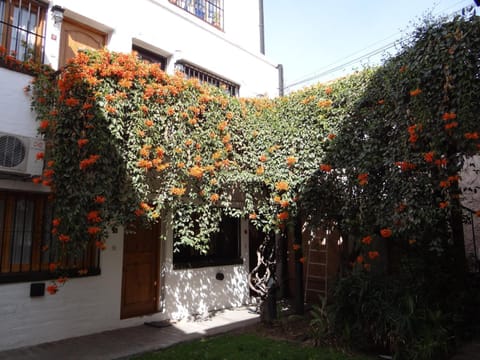 Property building, Spring, Garden, Garden, Garden view