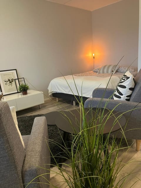 Ihastuttava yksiö loistopaikalla Apartment in Finland