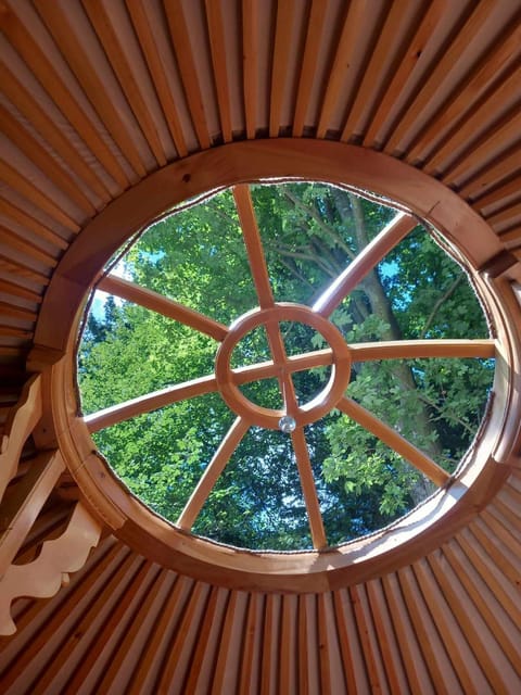 Day, Natural landscape, Decorative detail