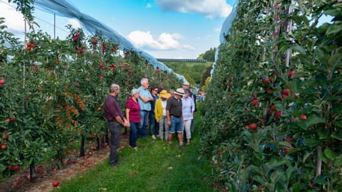 Vakantie oord Zonnehoeve Farm Stay in Limburg (province)