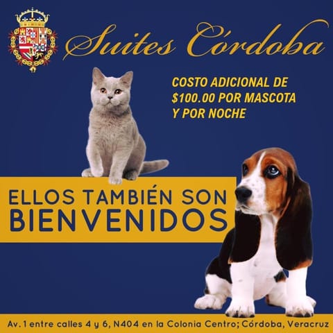 Hotel Suites Córdoba Apartment hotel in State of Puebla