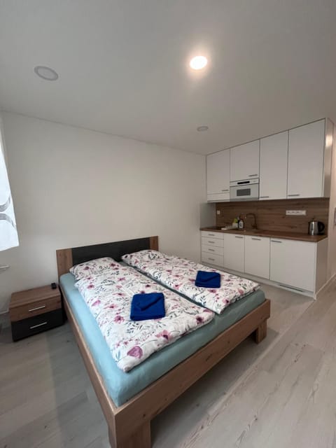 Kitchen or kitchenette, Bedroom