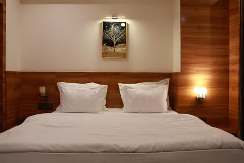 Hotel HS Inn Swiming Pool Room Hotel in Jaipur