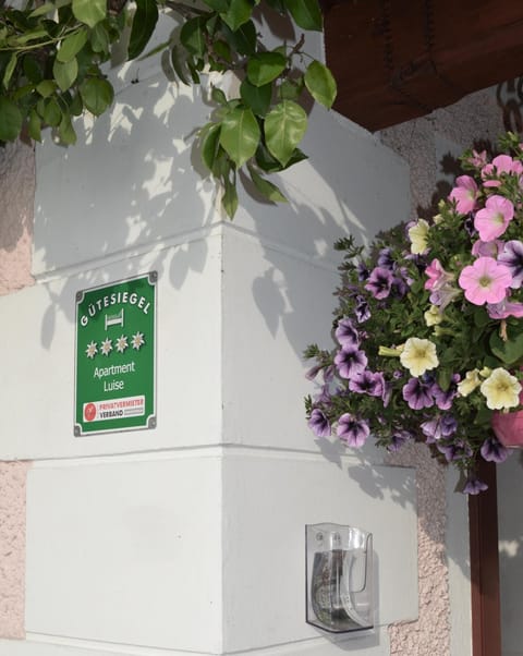 Apartment Luise Apartment in Hallstatt