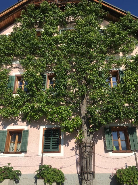 Apartment Luise Apartment in Hallstatt