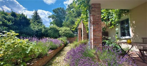 Property building, Garden