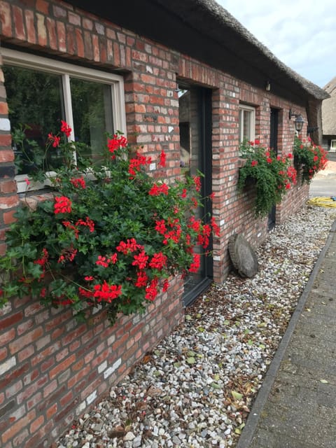 Property building, Summer