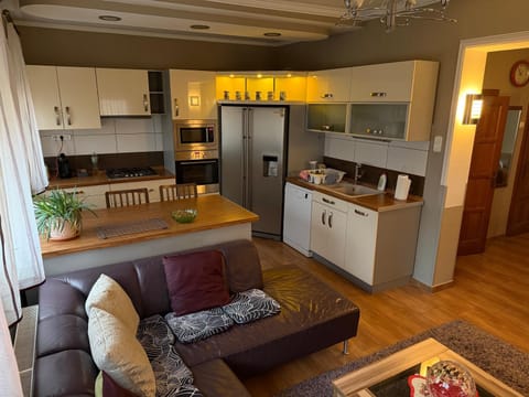 Living room, kitchen