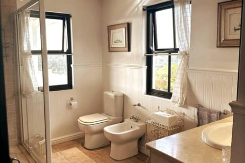 Toilet, Bathroom, bidet