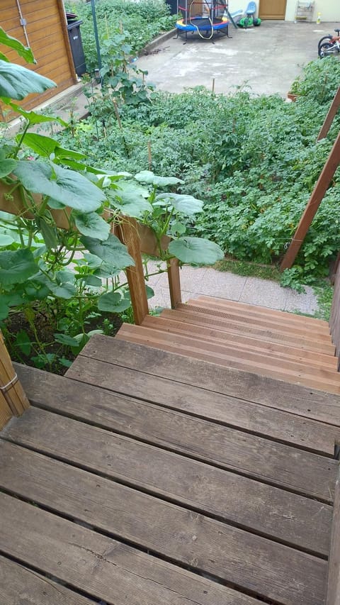 Cozy cottage Paris Suburb! Chalet in Île-de-France