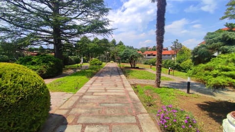 Natural landscape, Garden, Garden view