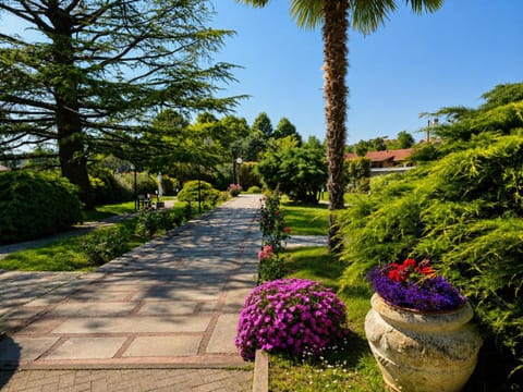 Spring, Day, Natural landscape, Summer, Garden, Garden view