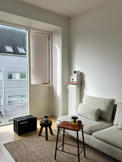 Cozy central studio Apartment in Copenhagen