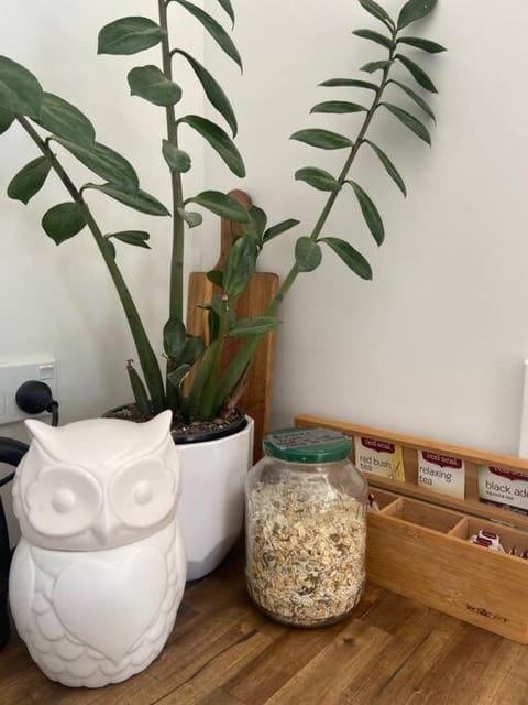 Raglan Studio at The Coastal Retreat Villa in Raglan