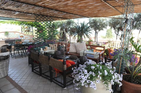 Garden, Balcony/Terrace