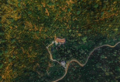 Natural landscape, Bird's eye view