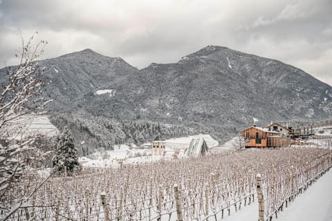 Natural landscape, Winter, On site, Mountain view