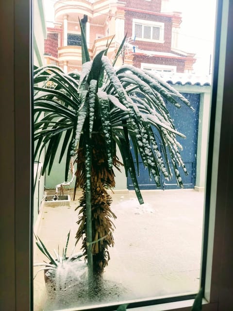 Traditional House L&A Korçë House in North Macedonia