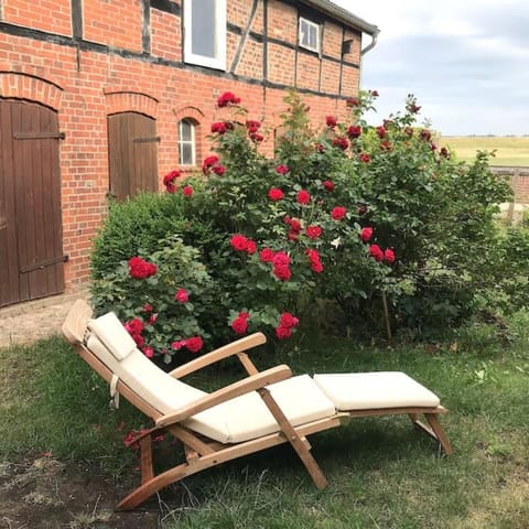 Garden, Garden view, sunbed